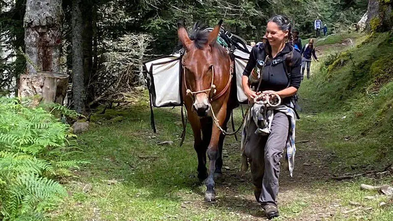 Une guide muletière